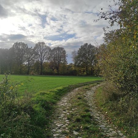 Lazurowa Prowansja - Agroturystyka Villa Toscana Boleslawiec  Exteriör bild