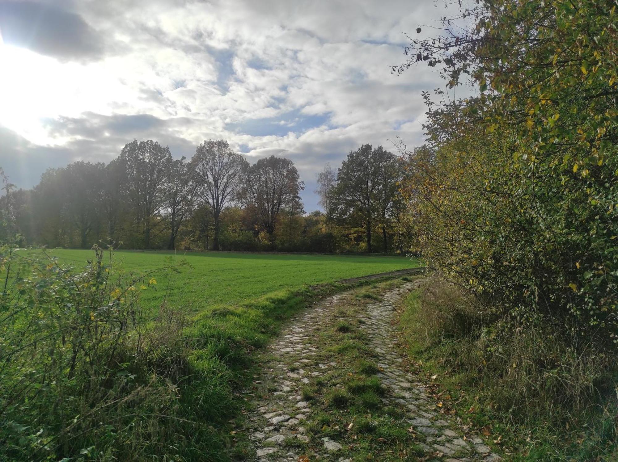 Lazurowa Prowansja - Agroturystyka Villa Toscana Boleslawiec  Exteriör bild